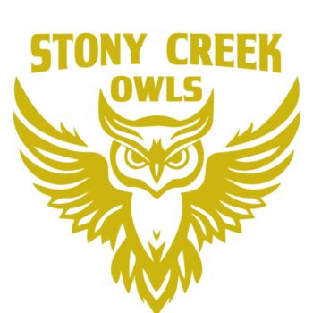 School Owls 04 Thumbnail